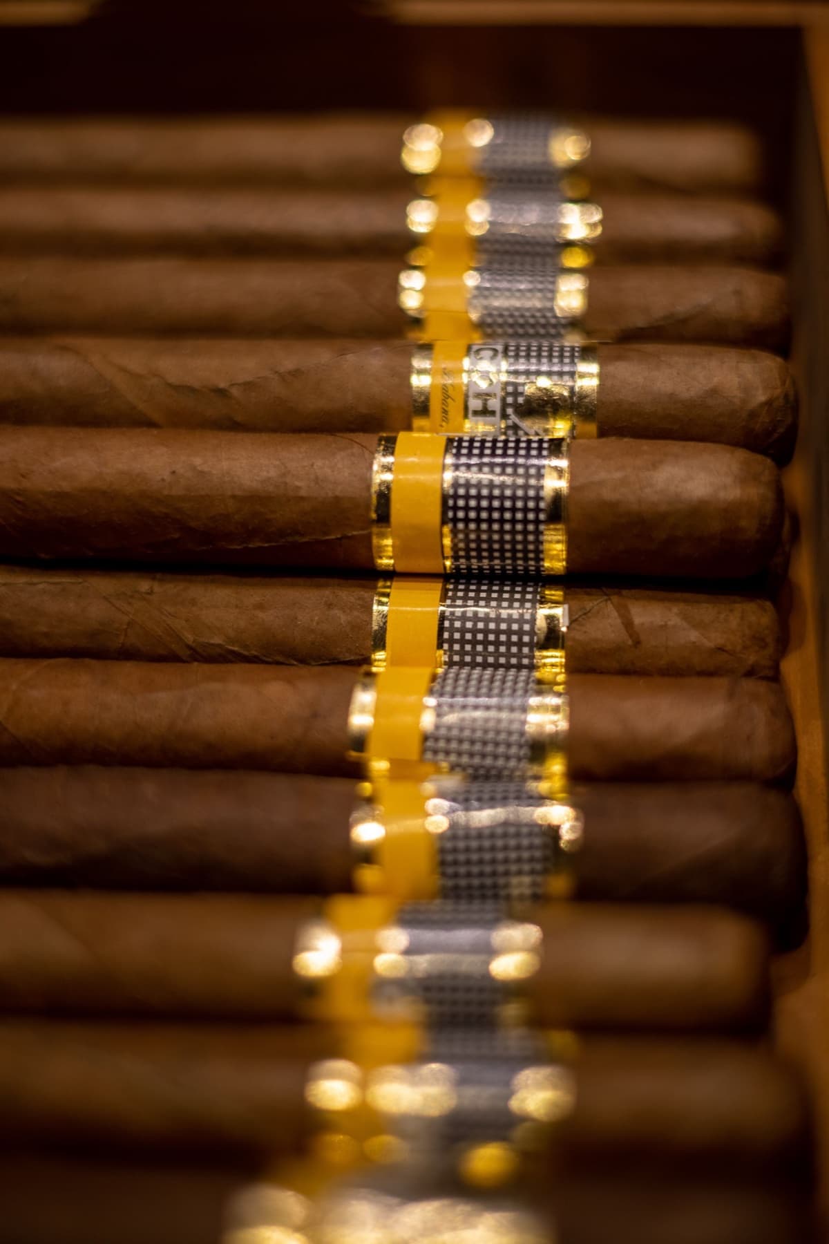 A detailed view of cigars in a presentation box